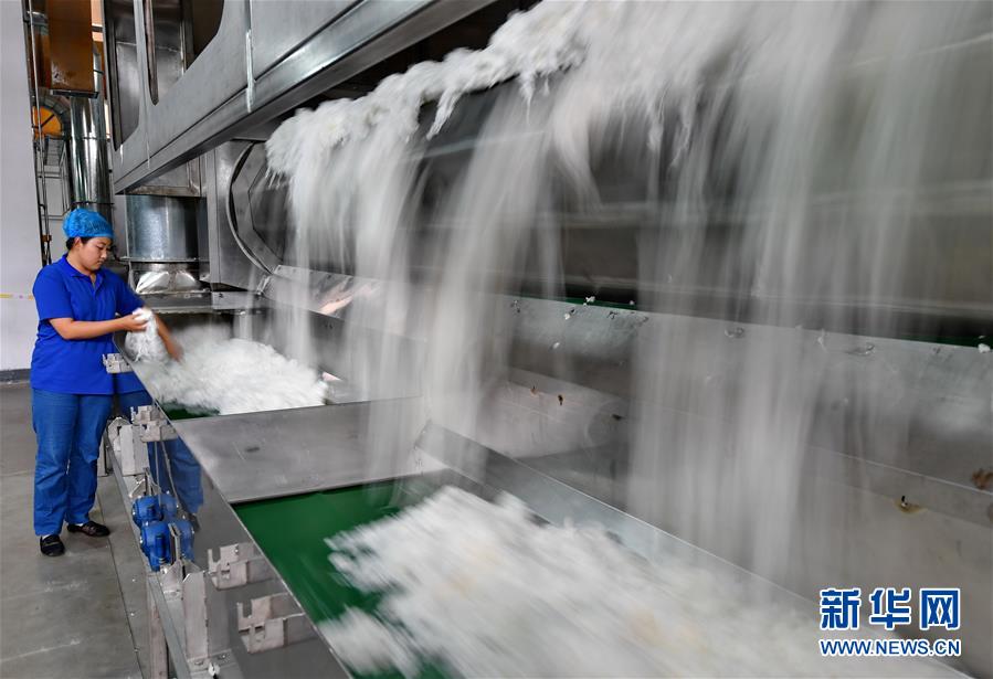 （經(jīng)濟(jì)）（2）河北唐山三友20萬噸化纖項(xiàng)目投產(chǎn)